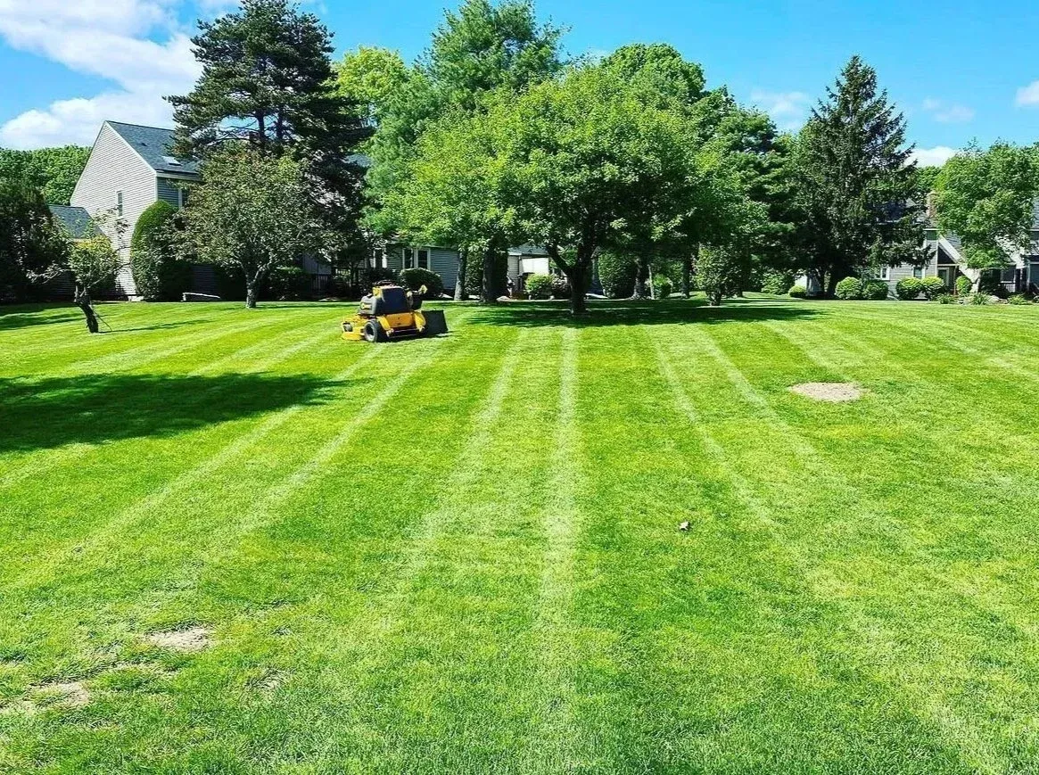 work photo from appletreelandscapema.com