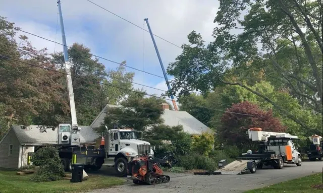 Tree-trimming crews with bucket trucks and a wood chipper working on a suburban street under power lines