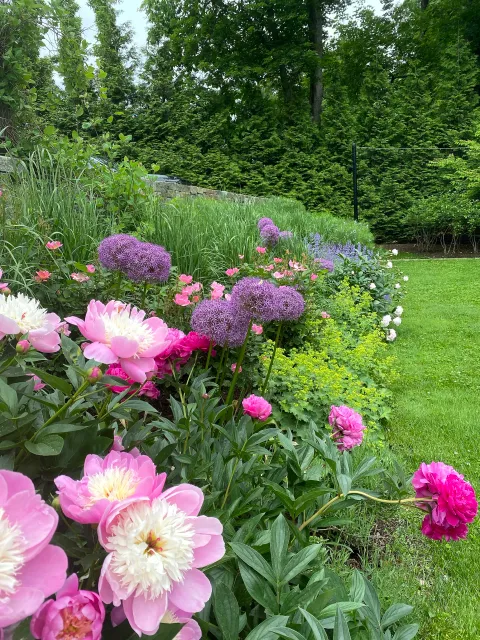 work photo from thegardenconcierge.com
