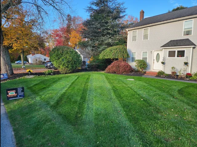 Wedge Landscaping work photo