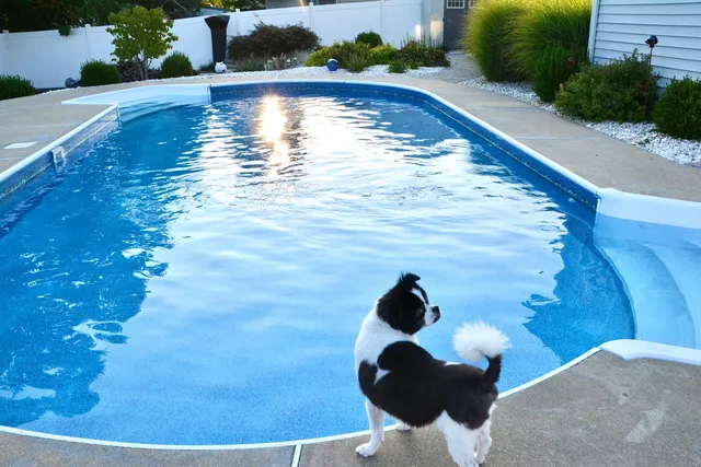 Swimming Puddles Pools work photo