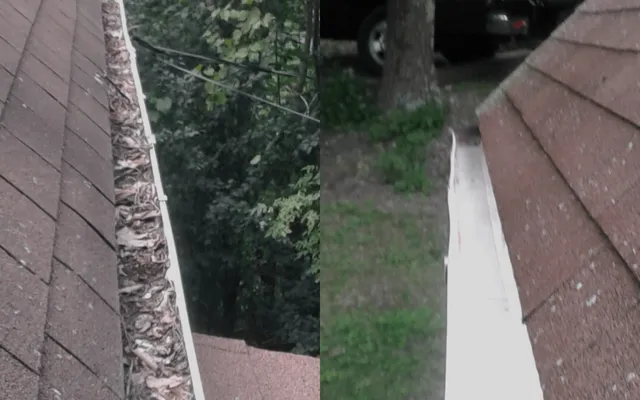 Gutter Cleaning