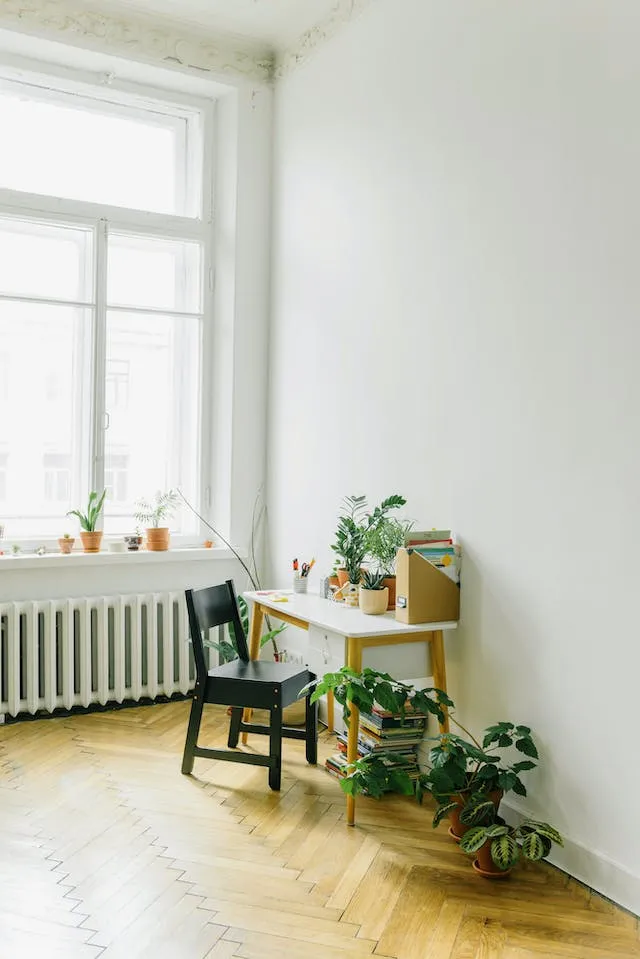 casement-windows-and-indoor-plants-in-Newton-MA