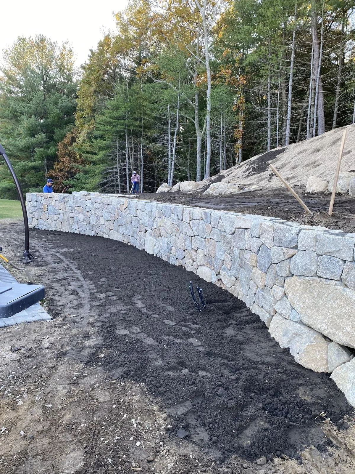 A long curving fieldstone retaining wall under construction at the edge of a wooded property, fresh mulch path along its base