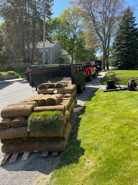 K J A S Tree Services verified work photo
