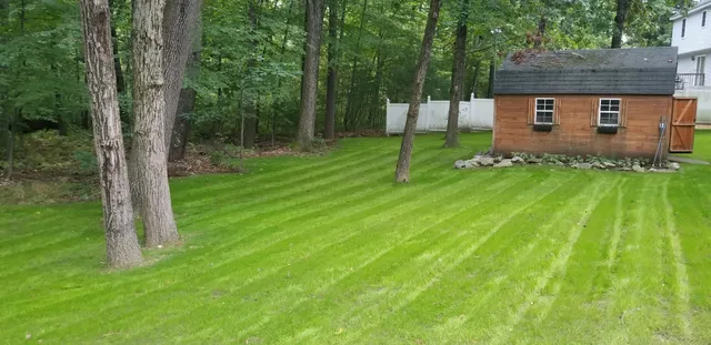 Pro-Turf Landscaping work photo
