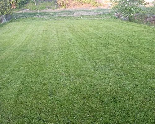 work photo from moraleslandscapingtreeservice.us