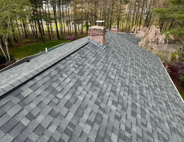 Gray shingle roof with a brick chimney, seen from above amid trees and a wooded yard.