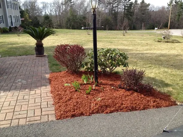 work photo from limaslandscape.com