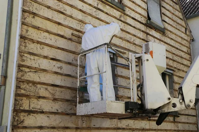 removal of lead paint