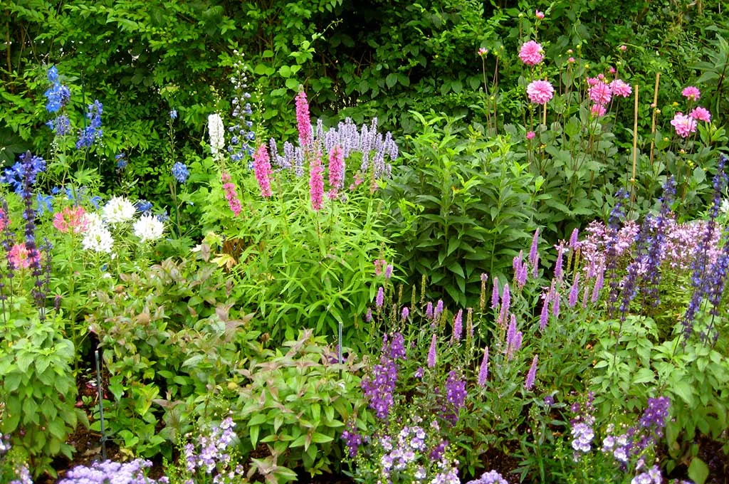 work photo from workingearthmarthasvineyard.com