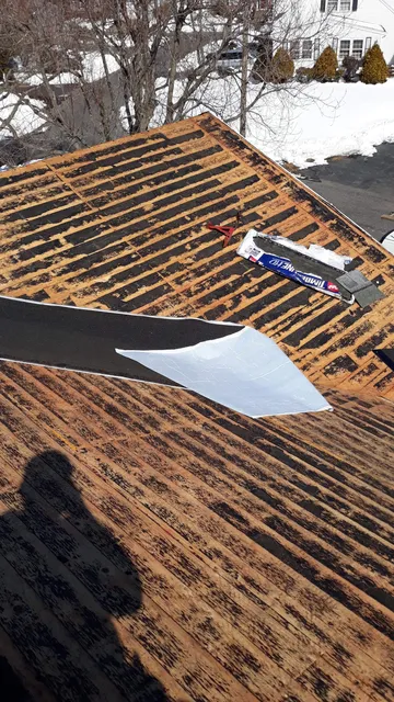 Eli's Roofing