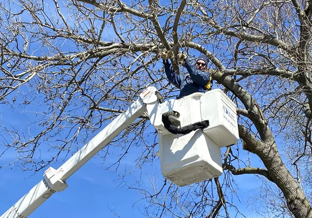 work photo from thoreaulandscape.com