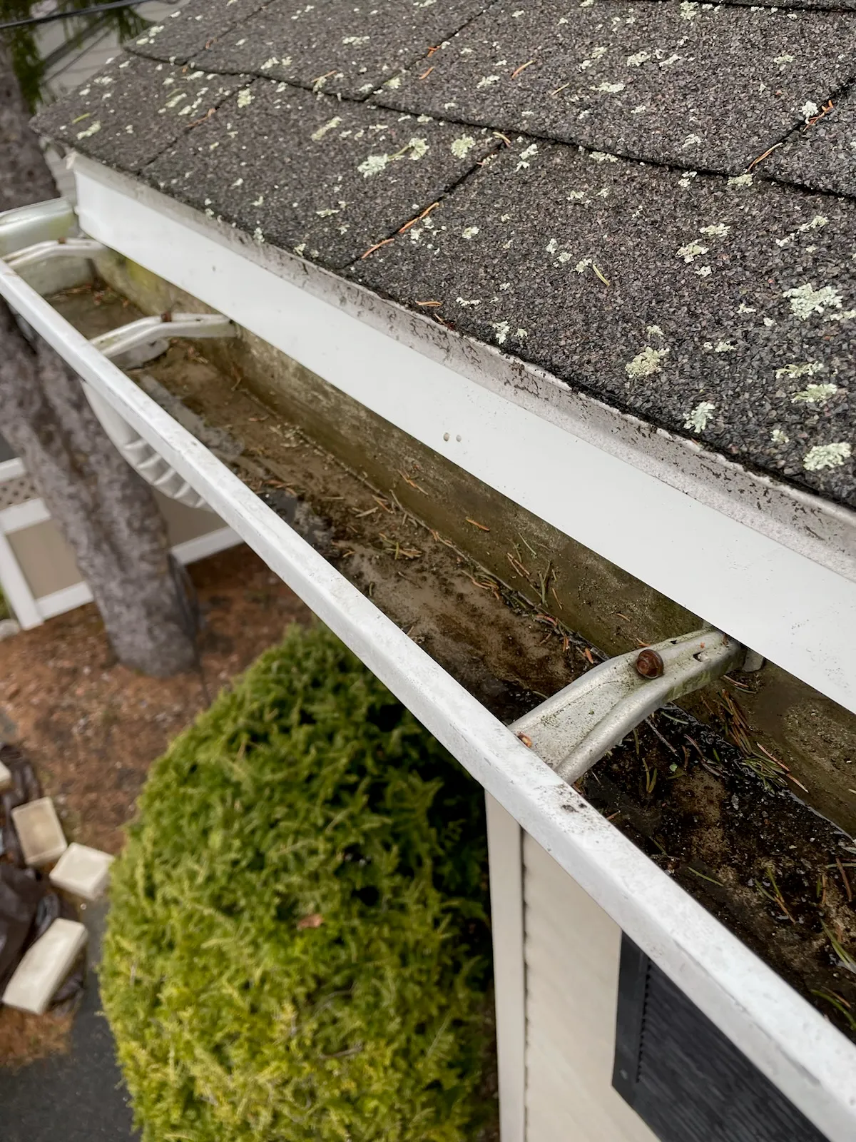 Northshore Gutter Cleaning
