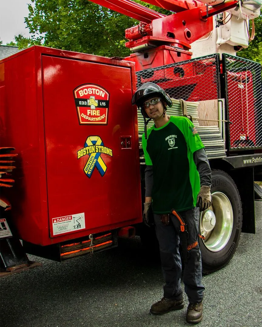 work photo from pathfindertreeservice.com