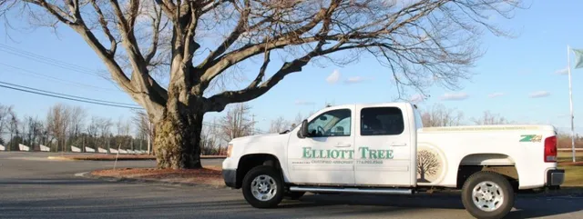work photo from elliotttree.com