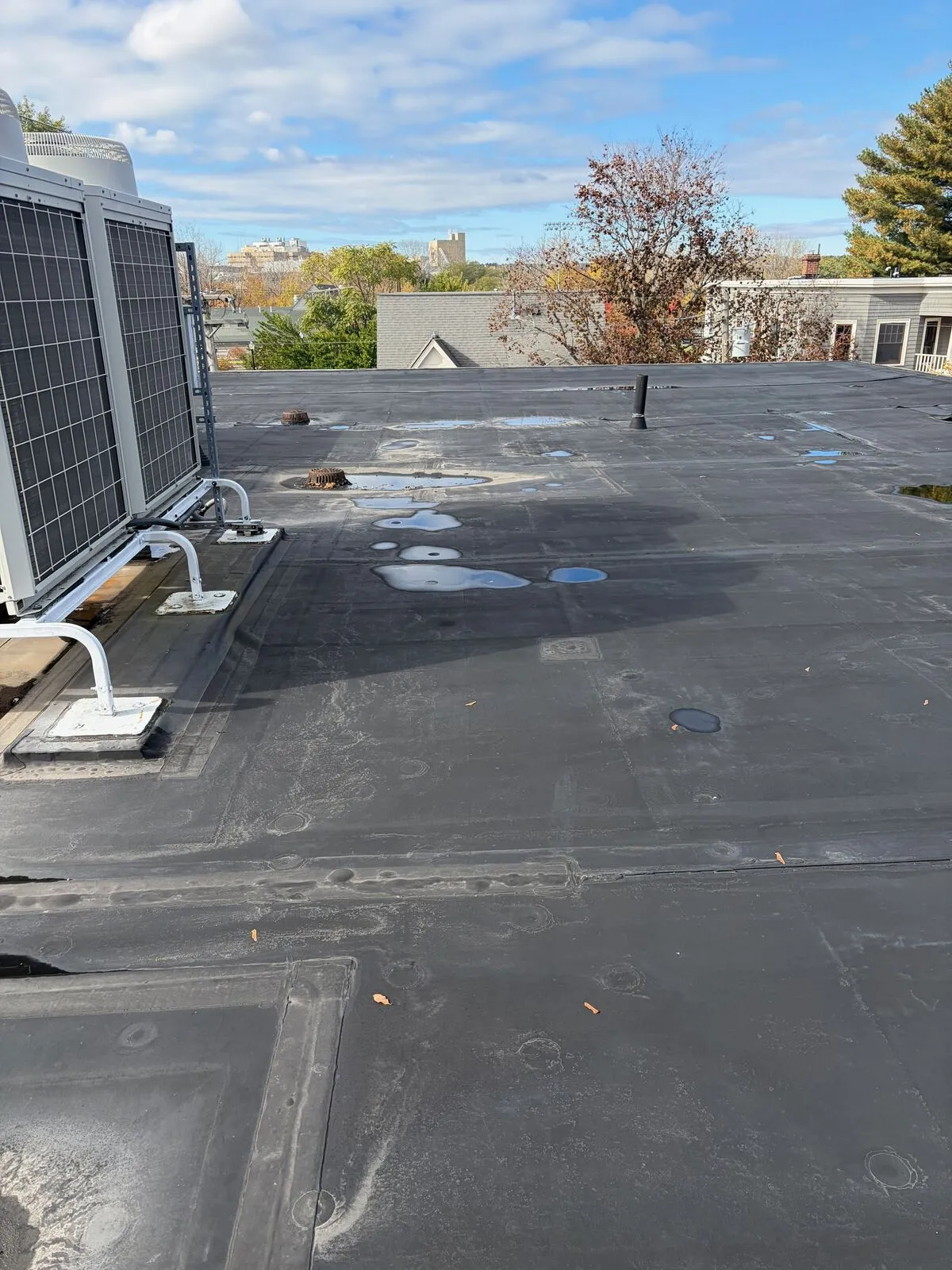 Tear-off and architectural shingle replacement on a stone-and-shake Medford landmark. Full envelope inspection included.