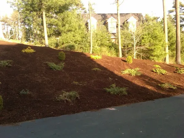work photo from limaslandscape.com