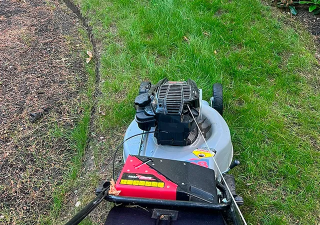 work photo from dsjlandscaping.com