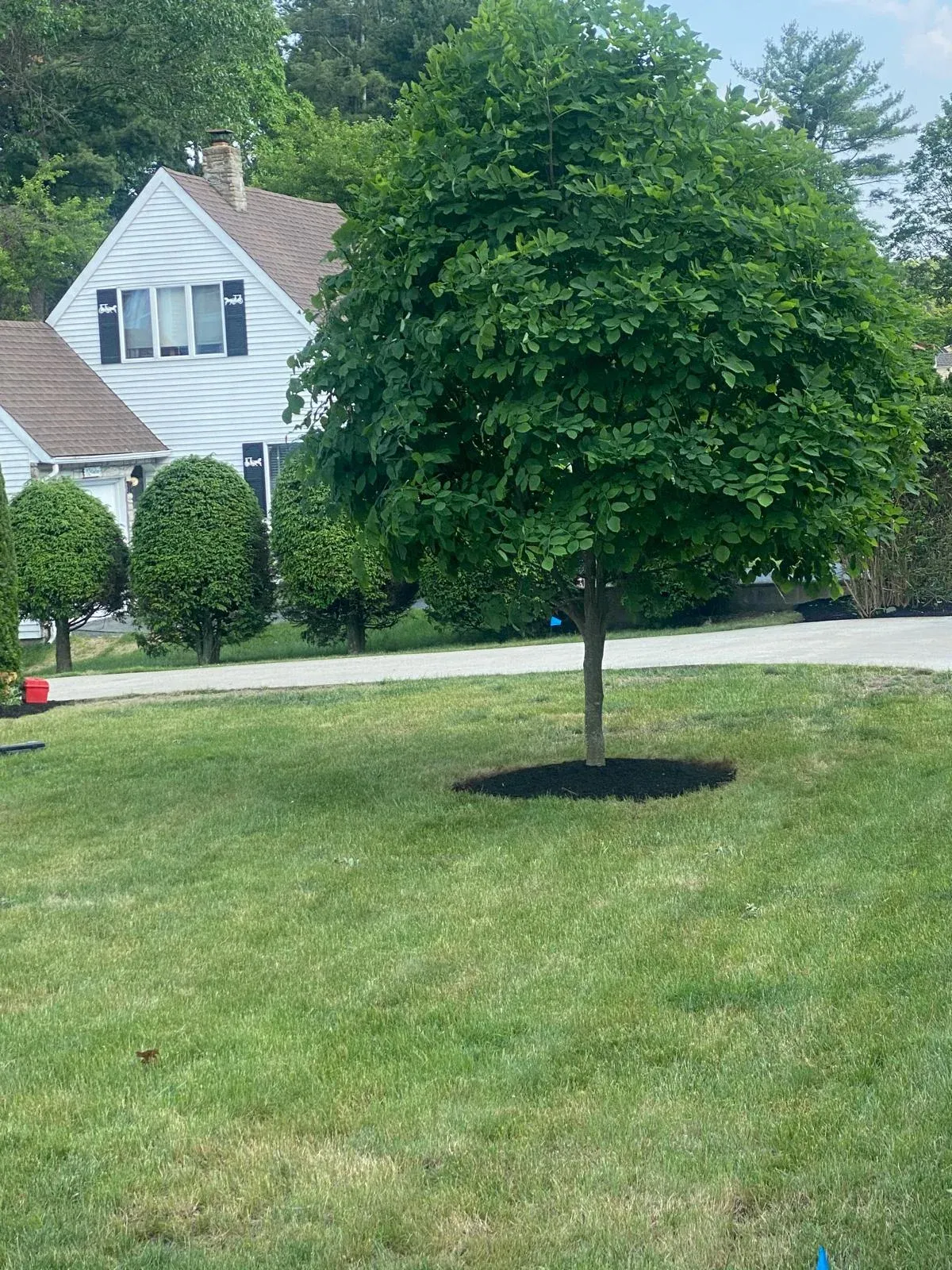 work photo from bennyandsonlandscapingllc.com