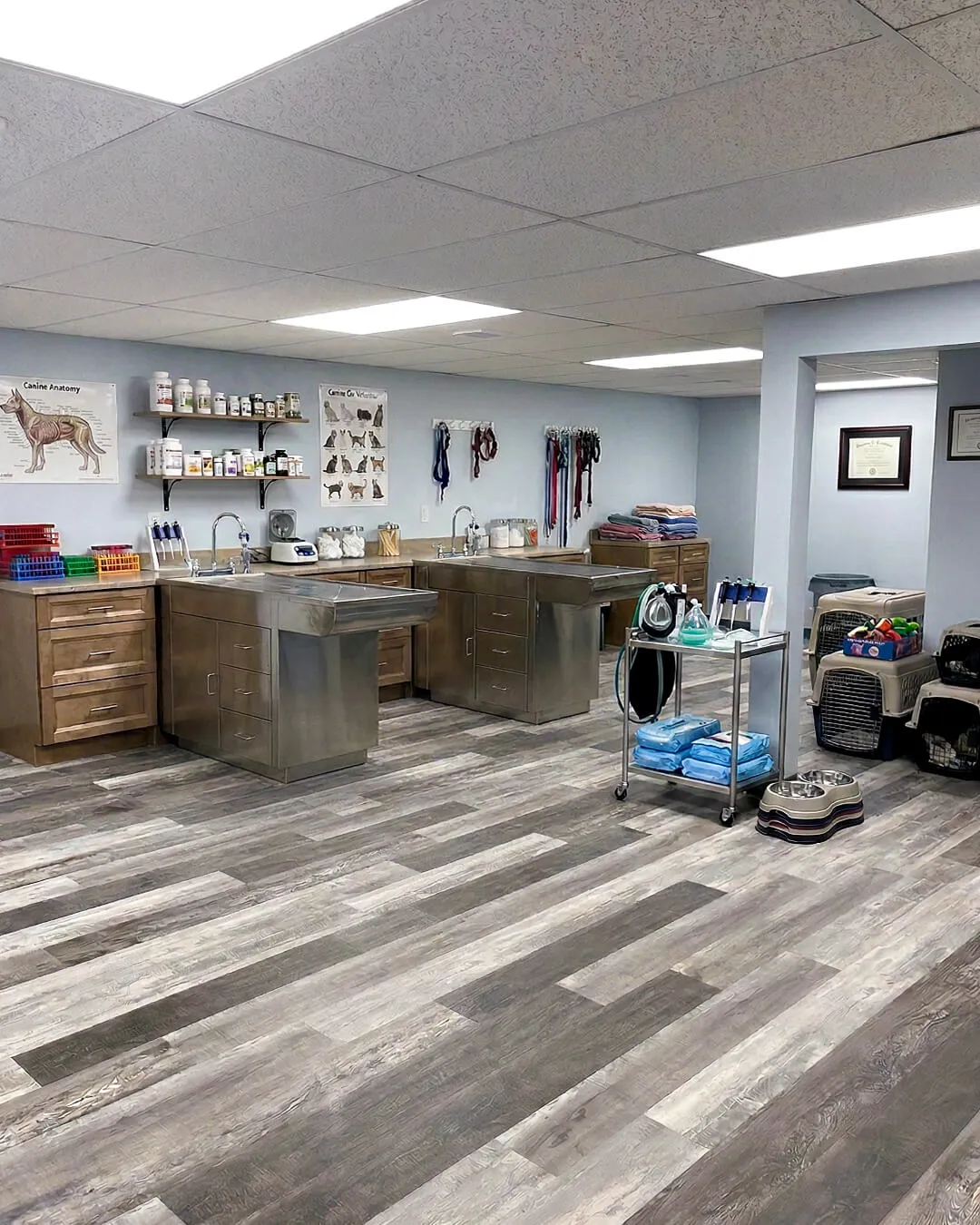 work photo from loftybuilt.com