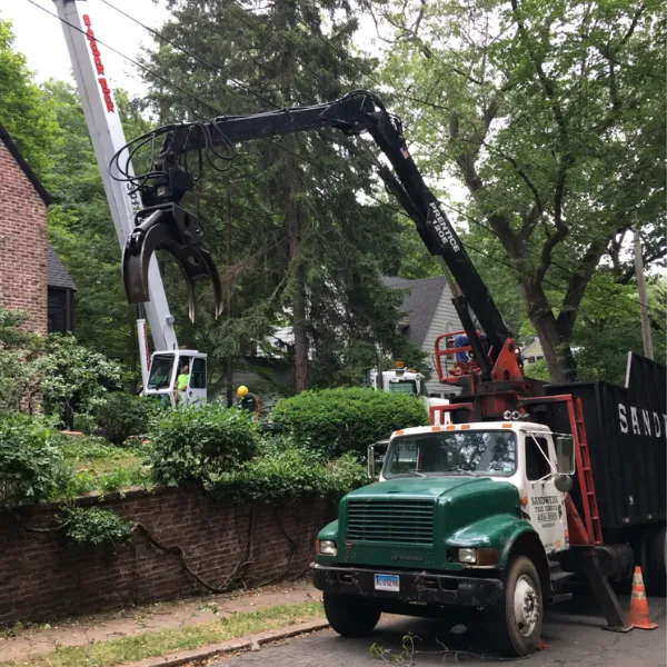 Sandweiss Tree Service, Inc. work photo