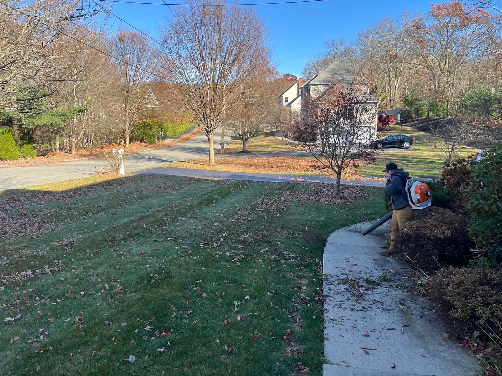 work photo from Google listing