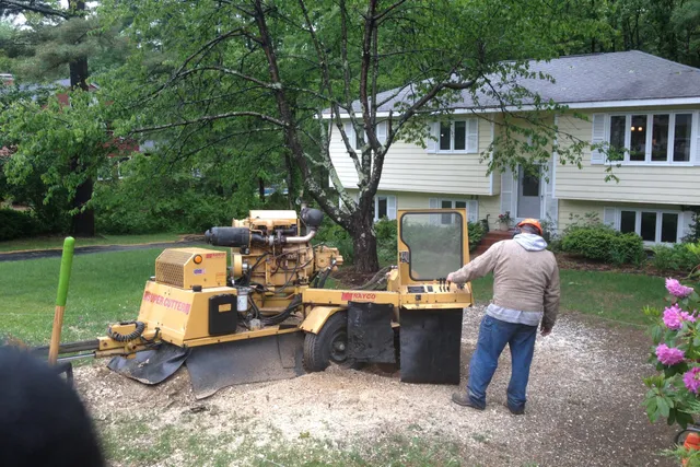 work photo from knowlestreeservice.com