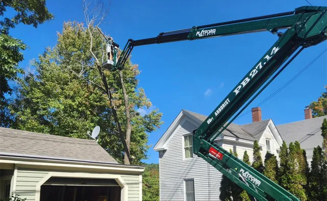 work photo from pottertreecare.com