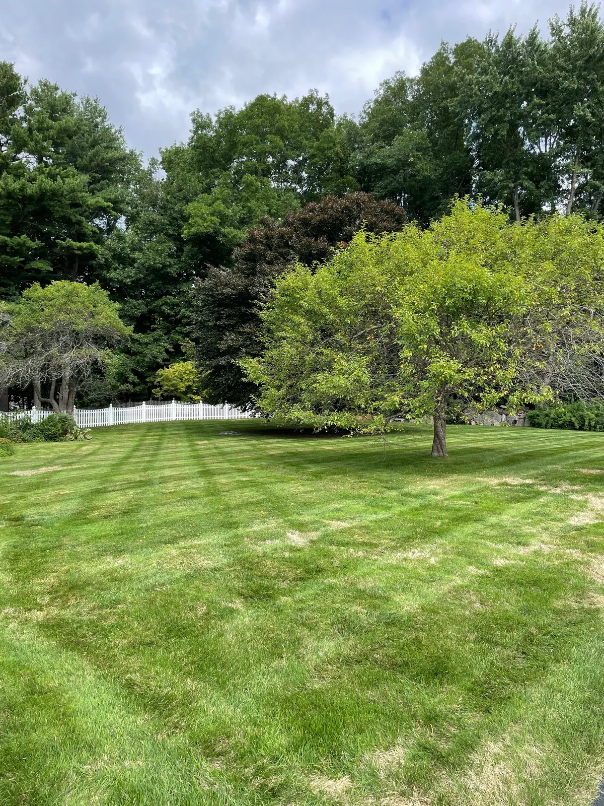NJG Landscaping researched project photo
