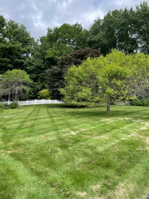 NJG Landscaping researched project photo