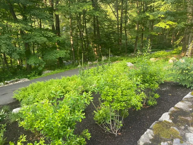 Svendsen & Keller researched project photo