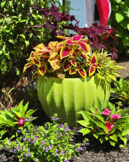 Wolf Moon Garden & Design work photo