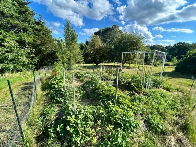 Wildish Garden Co. work photo