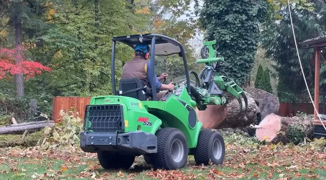 Middletown Tree Service work photo