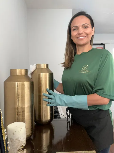 Noble Pro Cleaning Services