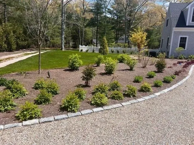 Landscaped gravel driveway with small shrubs beside a gray house and wooded yard