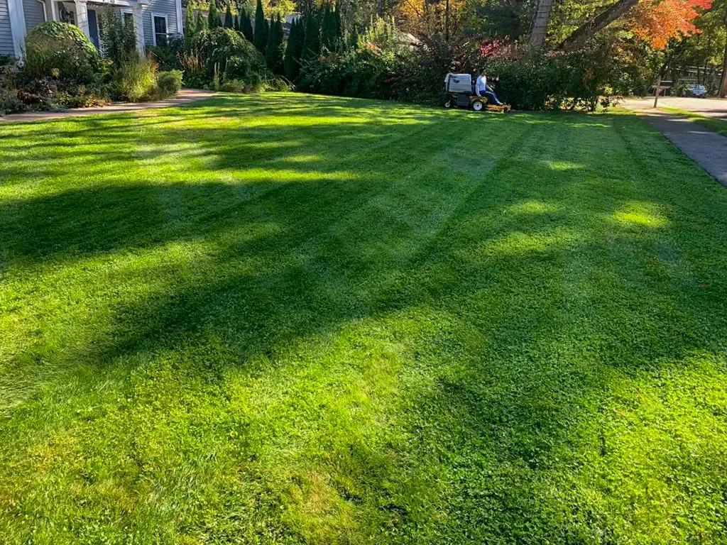 work photo from juniorlandscapingbedford.com