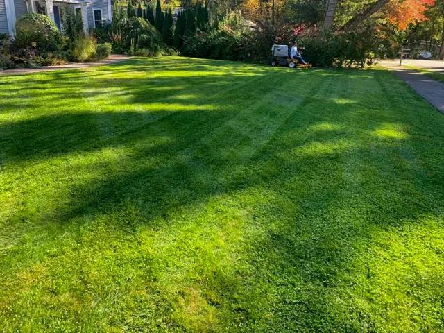 work photo from juniorlandscapingbedford.com