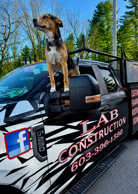 LAB Construction pickup truck with the company dog in the window