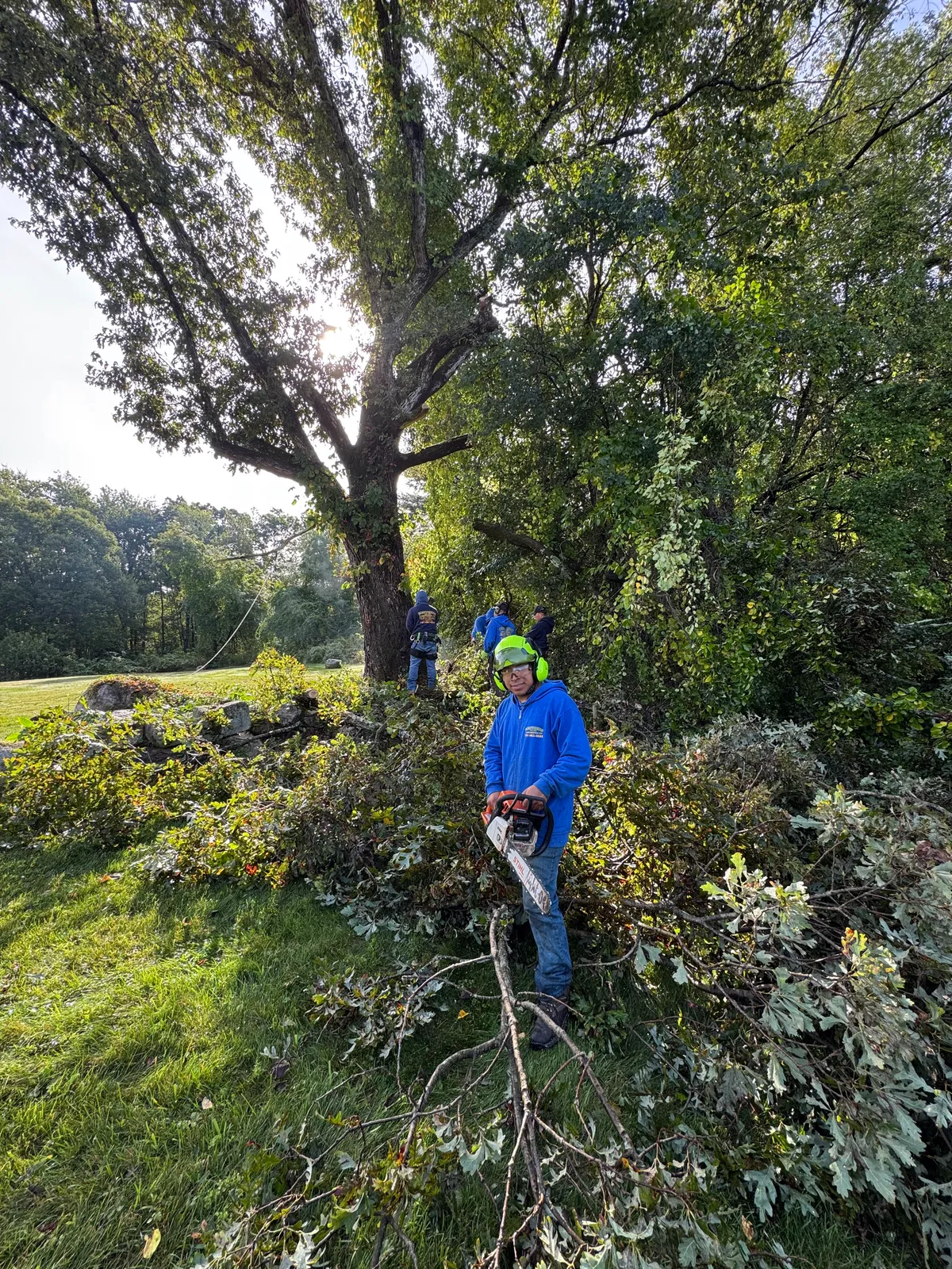 work photo from Google listing