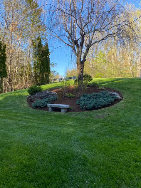 Green Vision work photo
