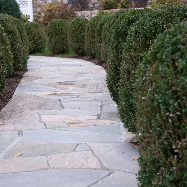 Colandro & Imbrogno Masonry, LLC researched project photo