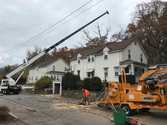 work photo from northsmithfieldtreeservice.com