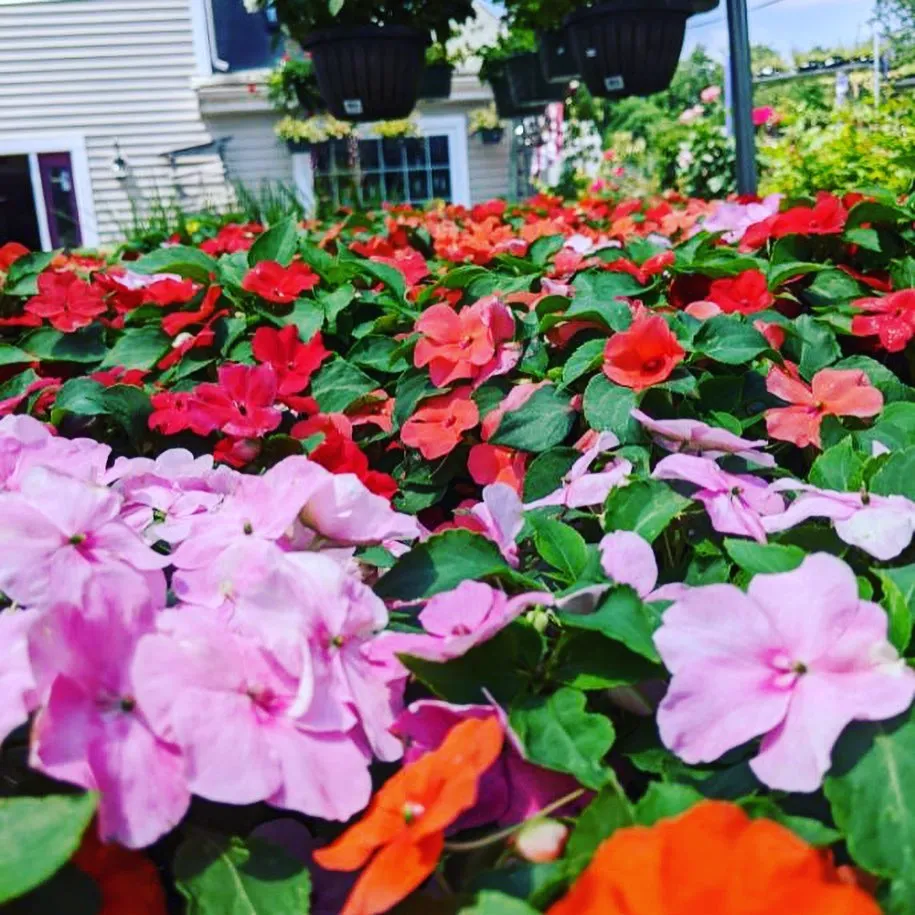 JMF Landscaping, Garden Center & Nursery