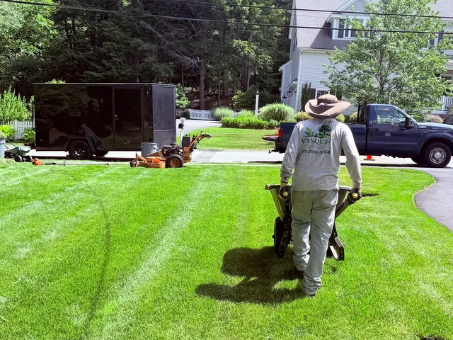 Vasquez Landscaping Services