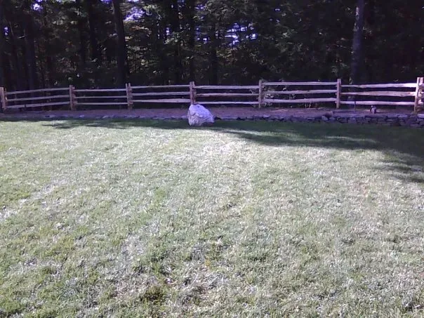 Fence