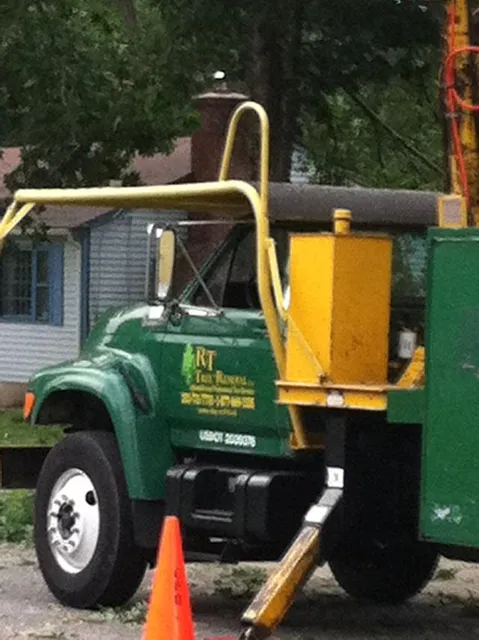 work photo from rttreeremoval.com