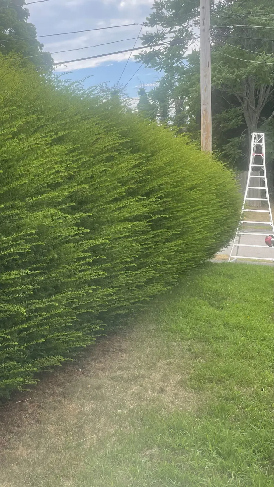 work photo from fernandoslandscapinginc.com