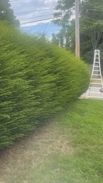 work photo from fernandoslandscapinginc.com